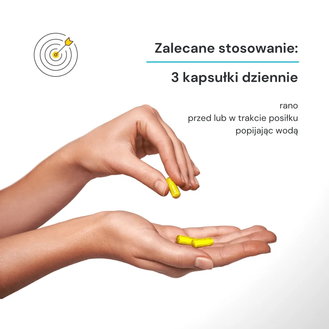 EndoBase - obrazek 2