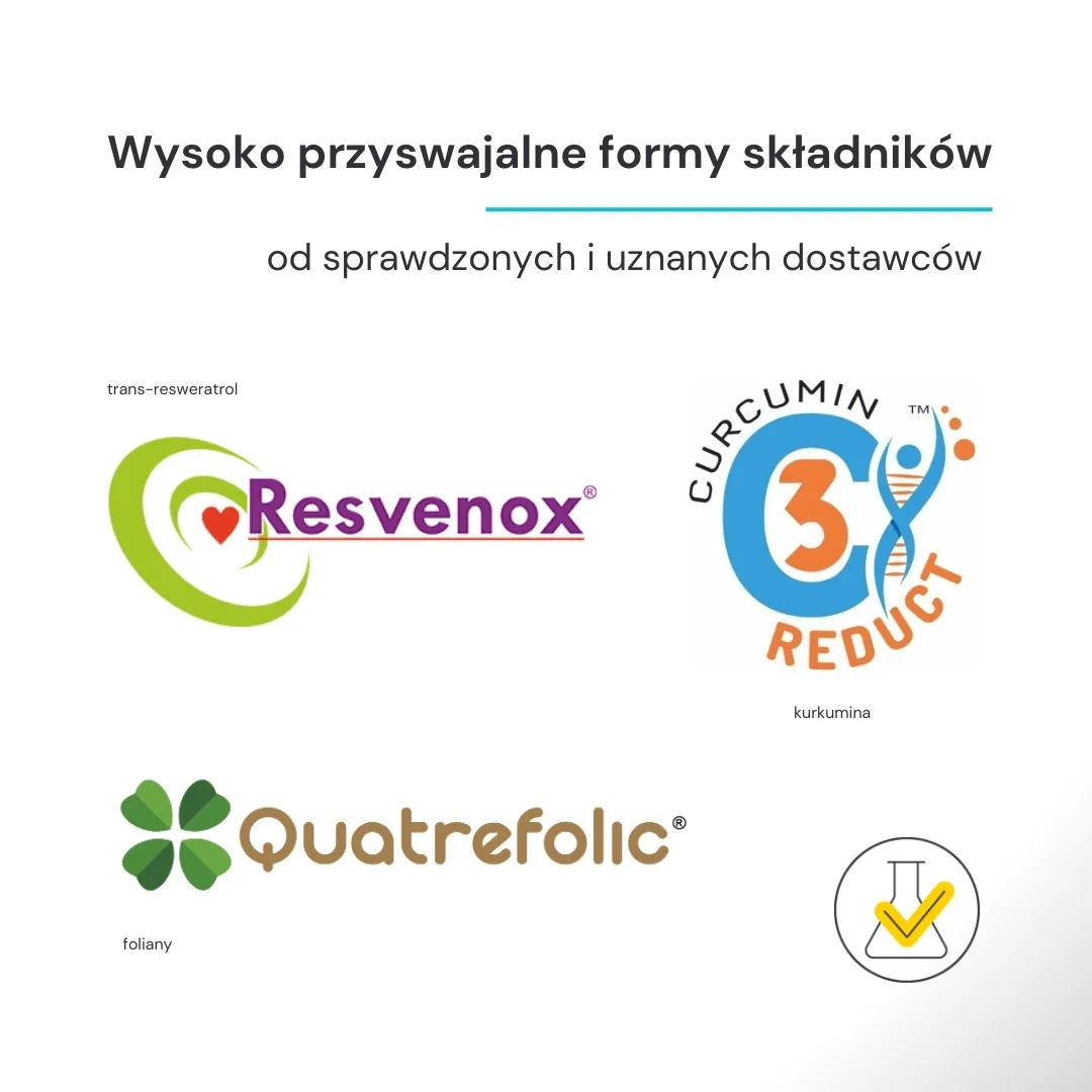 EndoBase - obrazek 5