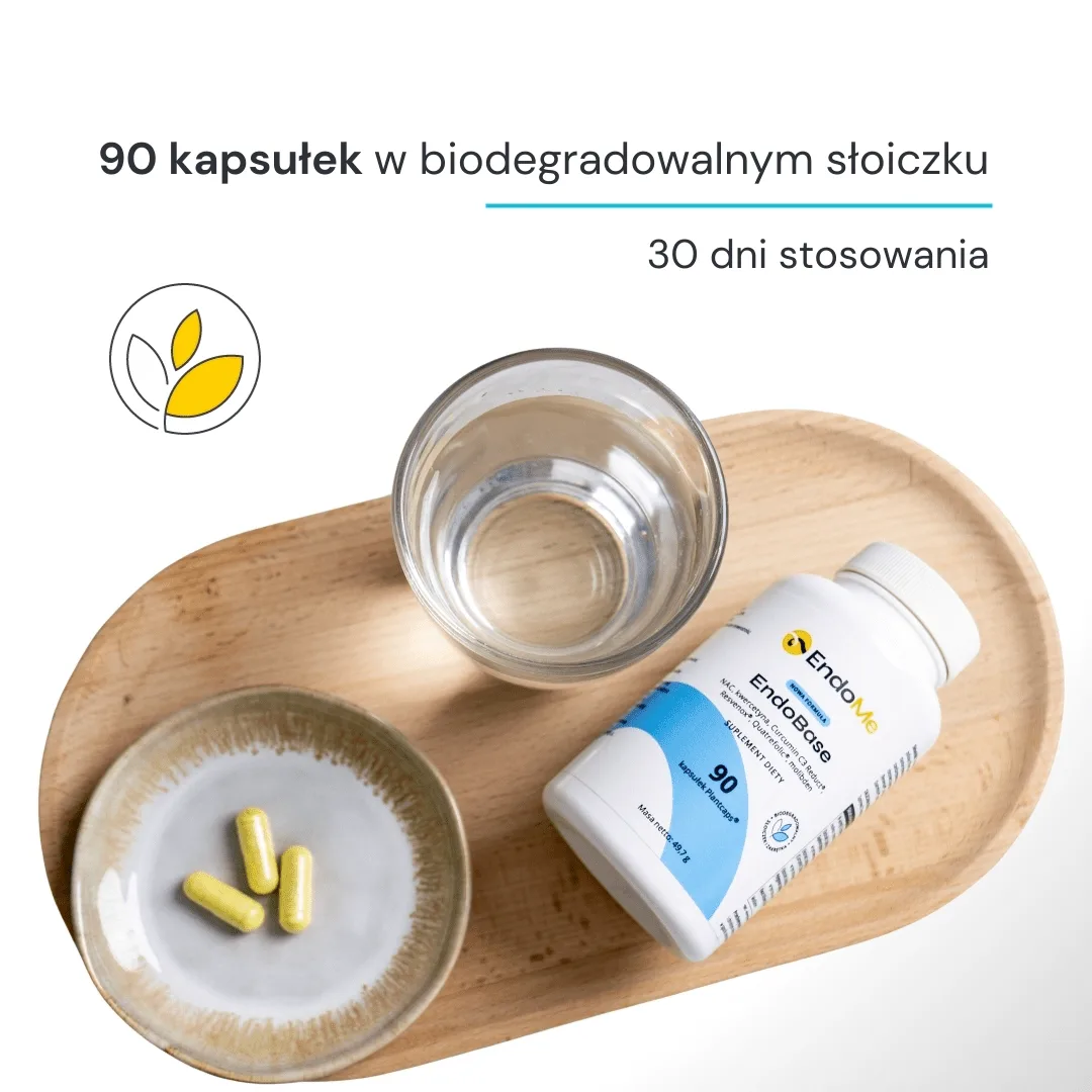 EndoBase - obrazek 8