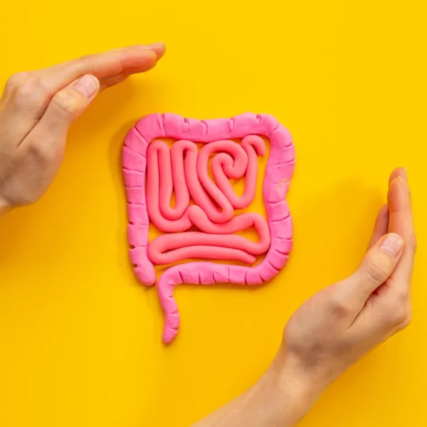 EndoBiotyk wsparcie jelit 2