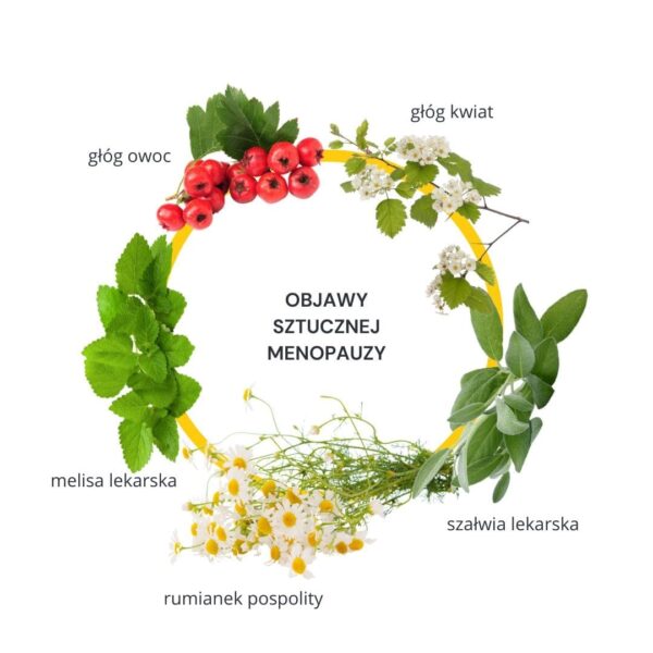 Zestaw Menopauza 2