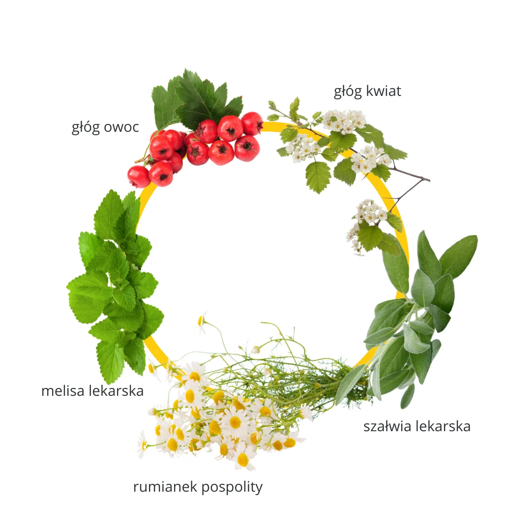 Objawy sztucznej menopauzy - obrazek 5